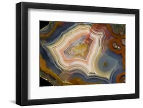 Condor Agate with Fortifcations-Darrell Gulin-Framed Photographic Print