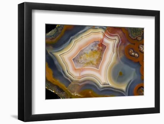 Condor Agate with Fortifcations-Darrell Gulin-Framed Photographic Print