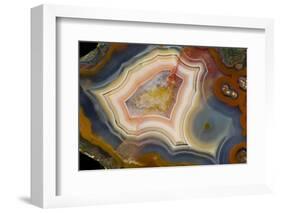 Condor Agate with Fortifcations-Darrell Gulin-Framed Photographic Print