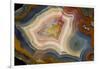 Condor Agate with Fortifcations-Darrell Gulin-Framed Photographic Print