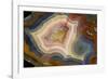 Condor Agate with Fortifcations-Darrell Gulin-Framed Photographic Print