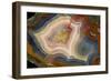 Condor Agate with Fortifcations-Darrell Gulin-Framed Photographic Print