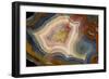 Condor Agate with Fortifcations-Darrell Gulin-Framed Photographic Print