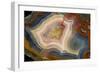 Condor Agate with Fortifcations-Darrell Gulin-Framed Photographic Print