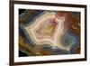 Condor Agate with Fortifcations-Darrell Gulin-Framed Photographic Print