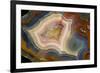 Condor Agate with Fortifcations-Darrell Gulin-Framed Photographic Print