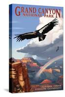 Condor and Rainbow - Grand Canyon National Park-Lantern Press-Stretched Canvas