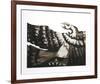 Condor II-Victor Delfin-Framed Limited Edition