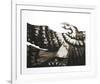 Condor II-Victor Delfin-Framed Limited Edition