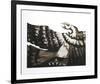 Condor II-Victor Delfin-Framed Limited Edition