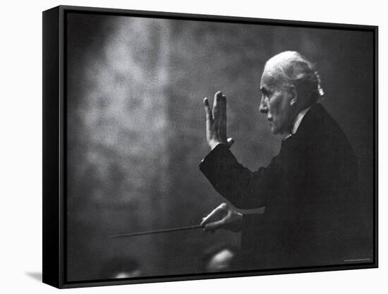 Conductor Arturo Toscanini Waving His Arms During the First Half Program of the Toscanini Tour-Joe Scherschel-Framed Stretched Canvas