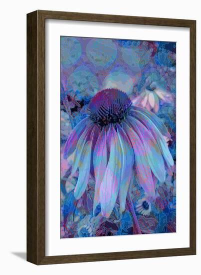 Cone Flower, Blue, Blue Flower, Echinacea-Scott J. Davis-Framed Giclee Print