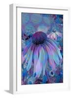 Cone Flower, Blue, Blue Flower, Echinacea-Scott J. Davis-Framed Giclee Print