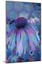Cone Flower, Blue, Blue Flower, Echinacea-Scott J. Davis-Mounted Giclee Print