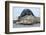 Cone-Seals, Halichoerus Grypus, Sandy Beach-Ronald Wittek-Framed Photographic Print