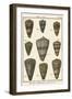 Cone Shell pl. 318-Vision Studio-Framed Art Print