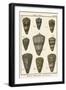 Cone Shell pl. 318-Vision Studio-Framed Art Print