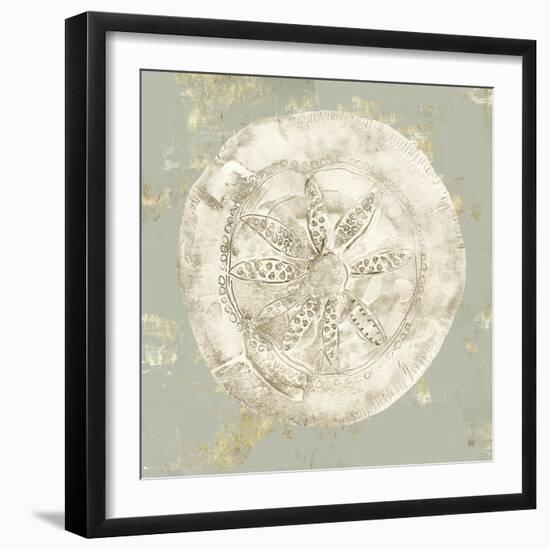 Cone Shells I-Aimee Wilson-Framed Art Print