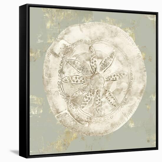 Cone Shells I-Aimee Wilson-Framed Stretched Canvas