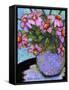 Coneflower Bouquet-Blenda Tyvoll-Framed Stretched Canvas