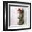 Coneflower On Stone-Glen and Gayle Wans-Framed Giclee Print