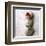 Coneflower On Stone-Glen and Gayle Wans-Framed Giclee Print