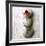 Coneflower On Stone-Glen and Gayle Wans-Framed Giclee Print