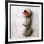 Coneflower On Stone-Glen and Gayle Wans-Framed Giclee Print