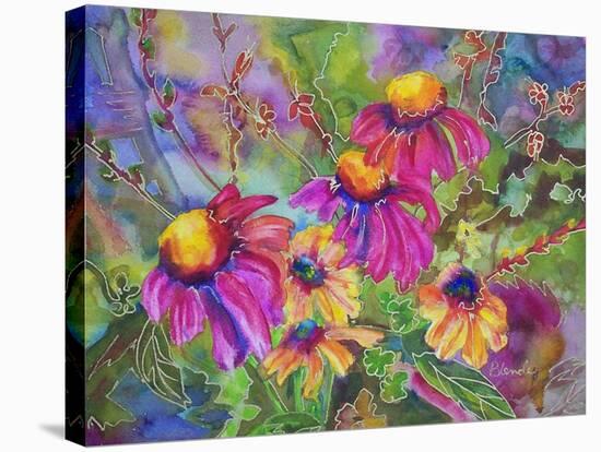 Coneflowers and Company-Blenda Tyvoll-Stretched Canvas