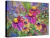 Coneflowers and Company-Blenda Tyvoll-Stretched Canvas