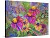 Coneflowers and Company-Blenda Tyvoll-Stretched Canvas