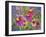 Coneflowers and Company-Blenda Tyvoll-Framed Art Print