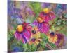 Coneflowers and Company-Blenda Tyvoll-Mounted Art Print