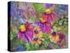 Coneflowers and Company-Blenda Tyvoll-Stretched Canvas