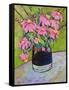 Coneflowers on Green-Blenda Tyvoll-Framed Stretched Canvas