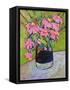 Coneflowers on Green-Blenda Tyvoll-Framed Stretched Canvas