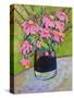 Coneflowers on Green-Blenda Tyvoll-Stretched Canvas