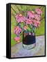 Coneflowers on Green-Blenda Tyvoll-Framed Stretched Canvas