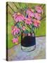 Coneflowers on Green-Blenda Tyvoll-Stretched Canvas