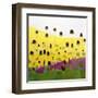 Coneflowers With Pink-Anne Becker-Framed Art Print