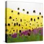 Coneflowers With Pink-Anne Becker-Stretched Canvas