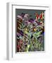 Coneflowers-Diana Ong-Framed Giclee Print