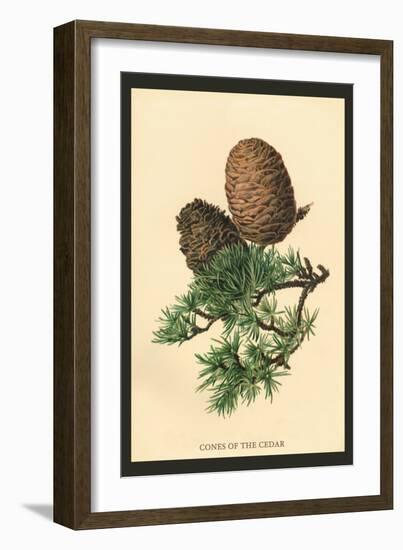 Cones of the Cedar-W.h.j. Boot-Framed Art Print