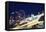 Coney Island at Night-William P^ Gottlieb-Framed Stretched Canvas