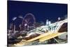 Coney Island at Night-William P. Gottlieb-Stretched Canvas