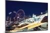 Coney Island at Night-William P. Gottlieb-Mounted Photographic Print