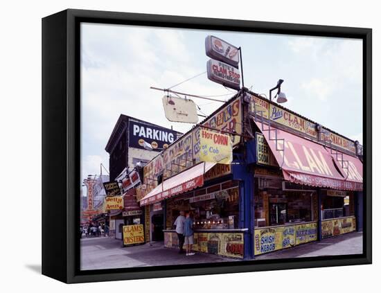 Coney Island Clams, Dogs, Heroes and Shish Kabob-Carol Highsmith-Framed Stretched Canvas