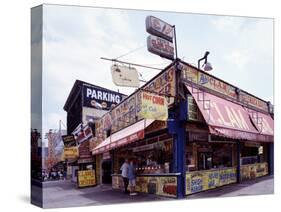 Coney Island Clams, Dogs, Heroes and Shish Kabob-Carol Highsmith-Stretched Canvas