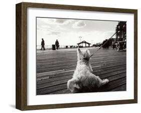 Coney Island Dog, NY, 2006-null-Framed Photographic Print