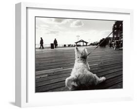 Coney Island Dog, NY, 2006-null-Framed Photographic Print